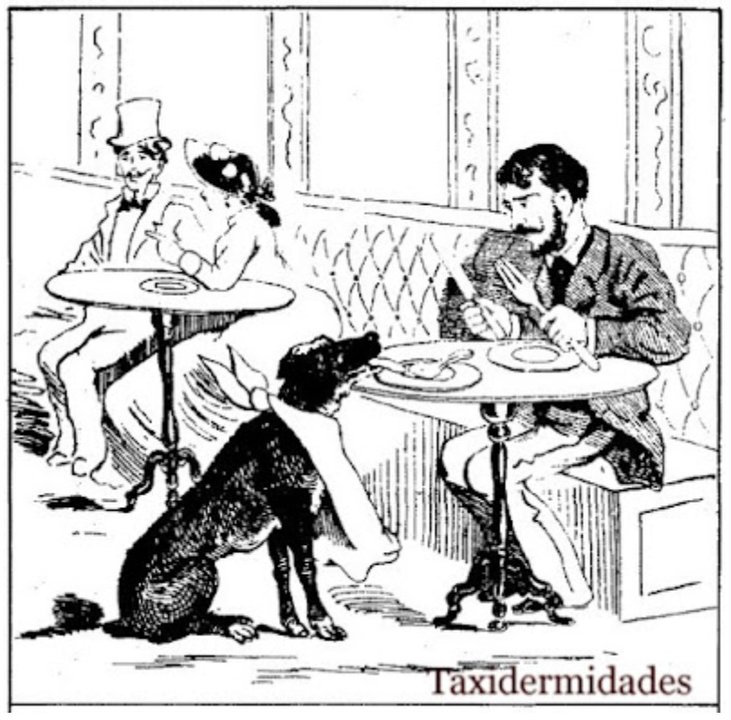 Grabado de la época representando al Perro Paco y al marqués de Bogaraya / Taxidermidades