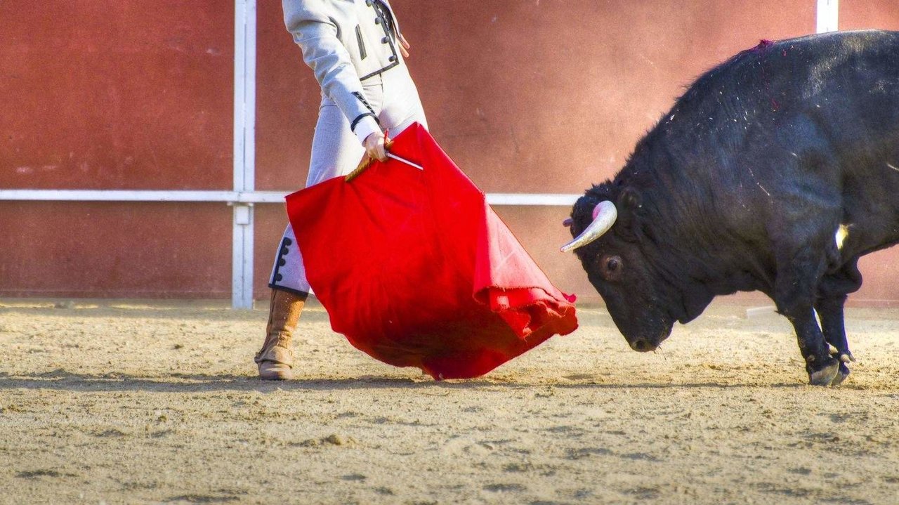 Toro embiste la muleta - Foto de 123RF/outsiderzone