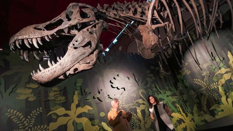 Ayuso felicita al Museo Arqueológico y Paleontológico por su 25º aniversario - Comunidad de Madrid