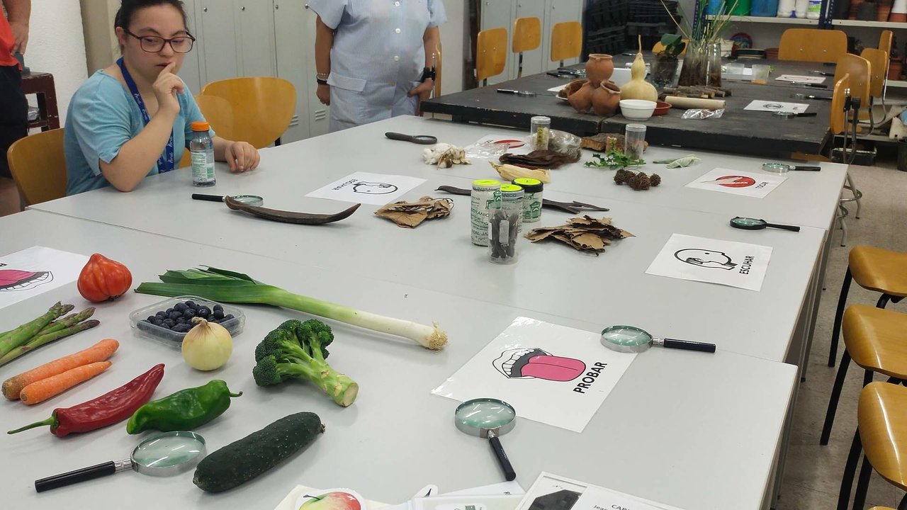 Taller del programa "El Botánico en el aula" en un centro escolar de Madrid - Imagen del RJB-CSIC