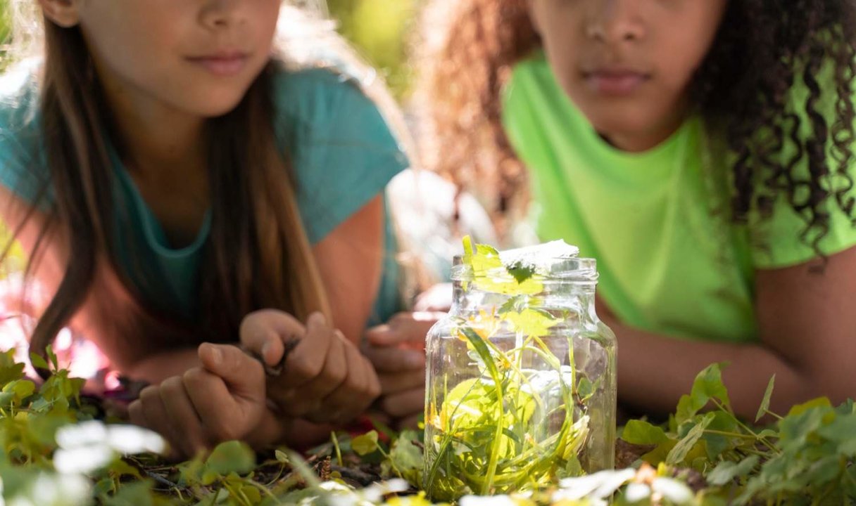 VIII Programa de Educación y Sensibilización Ambiental Madrid - Freepik