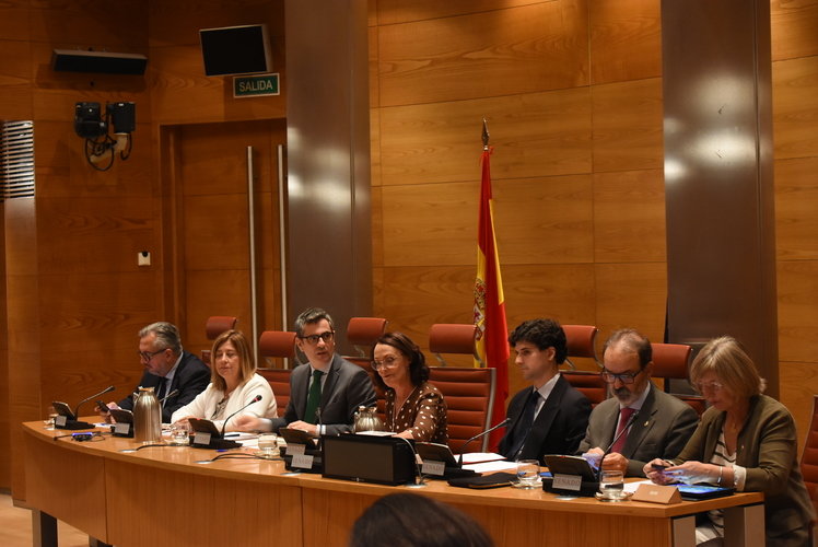 El ministro de Presidencia y Justicia, durante la comparecencia | Foto del Senado